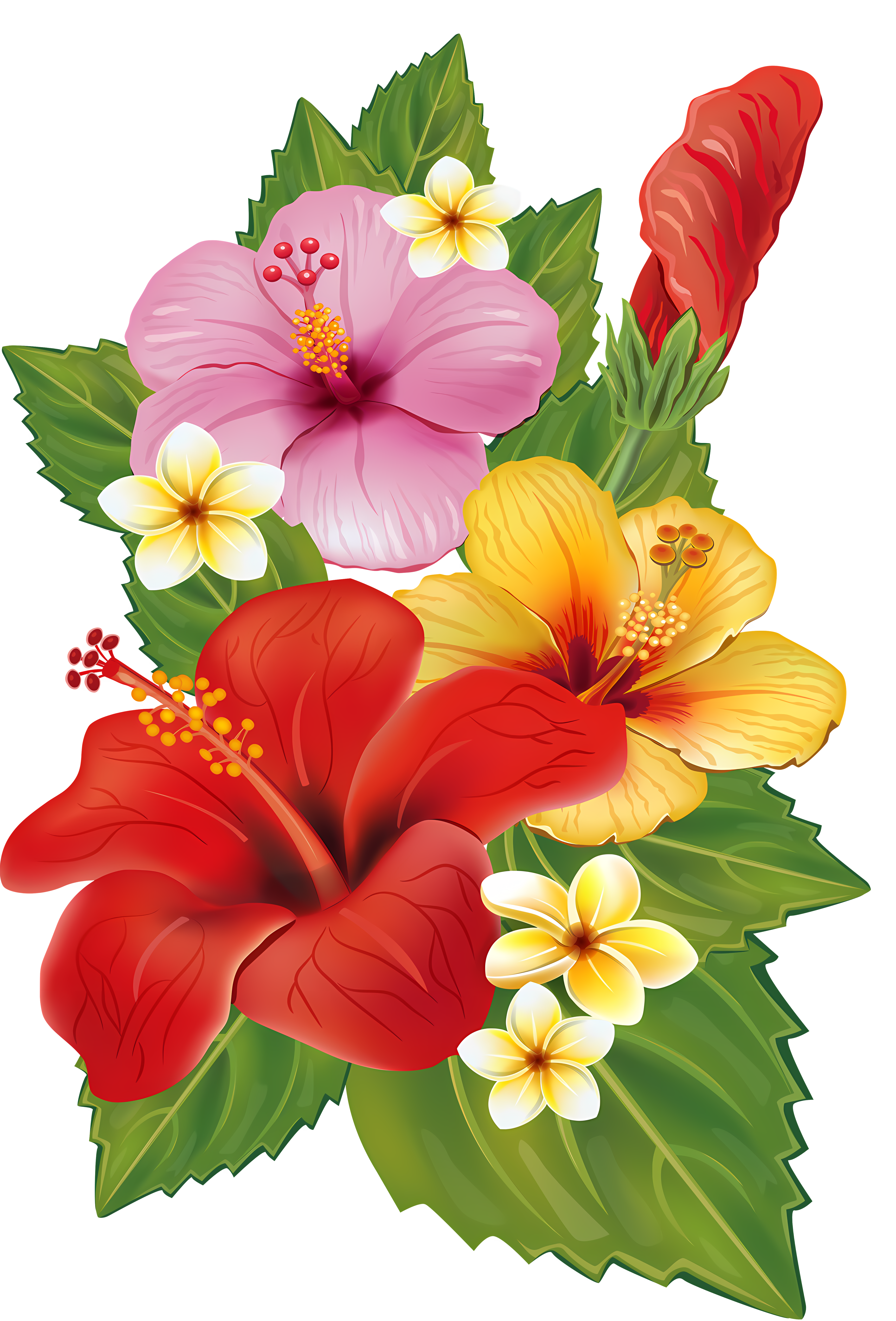 fleurs